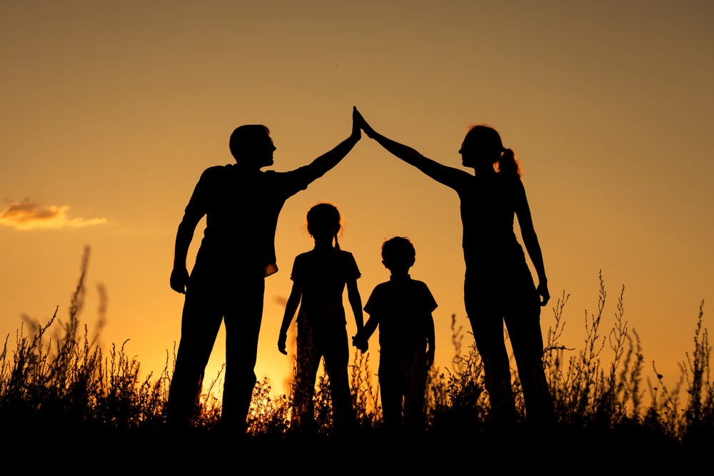 Family Law Lawyer